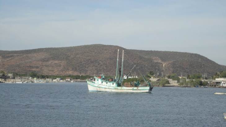 barco